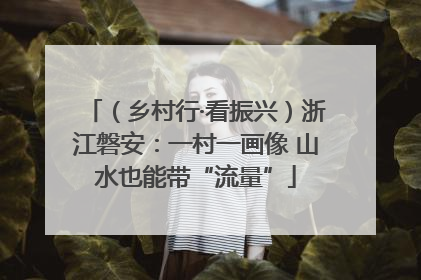 （乡村行·看振兴）浙江磐安：一村一画像 山水也能带“流量”
