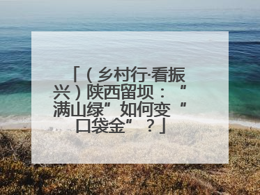 （乡村行·看振兴）陕西留坝：“满山绿”如何变“口袋金”？