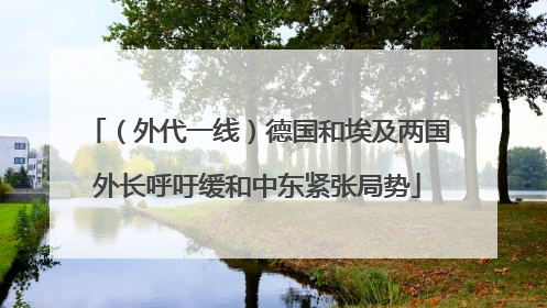 （外代一线）德国和埃及两国外长呼吁缓和中东紧张局势