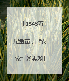 1343万尾鱼苗，“安家”斧头湖