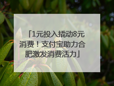 1元投入撬动8元消费！支付宝助力合肥激发消费活力