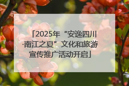 2025年“安逸四川·南江之夏”文化和旅游宣传推广活动开启