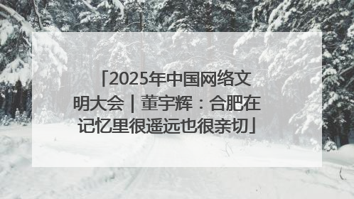 2025年中国网络文明大会｜董宇辉：合肥在记忆里很遥远也很亲切