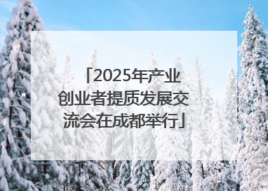 2025年产业创业者提质发展交流会在成都举行