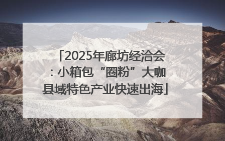 2025年廊坊经洽会：小箱包“圈粉”大咖 县域特色产业快速出海
