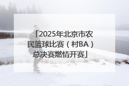 2025年北京市农民篮球比赛（村BA）总决赛燃情开赛