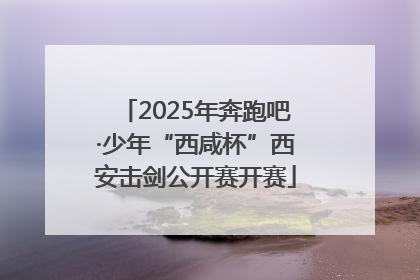 2025年奔跑吧·少年“西咸杯”西安击剑公开赛开赛