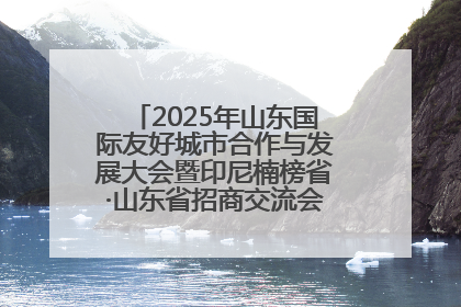 2025年山东国际友好城市合作与发展大会暨印尼楠榜省·山东省招商交流会在济南槐荫举行
