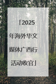 2025年海外华文媒体广西行活动收官