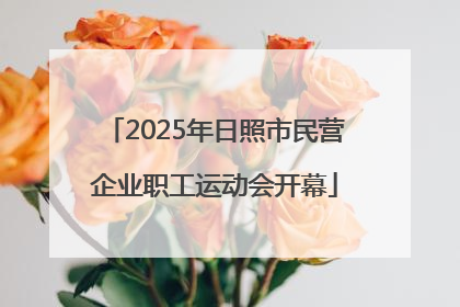 2025年日照市民营企业职工运动会开幕
