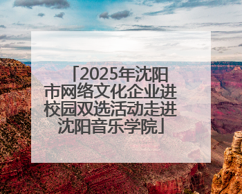 2025年沈阳市网络文化企业进校园双选活动走进沈阳音乐学院