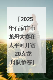 2025年石家庄市龙舟大赛在太平河开赛 20支龙舟队参赛