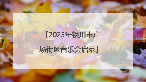 2025年银川市广场街区音乐会启幕