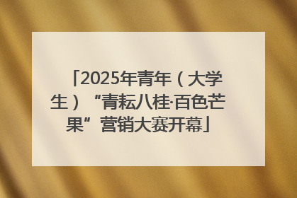 2025年青年（大学生）“青耘八桂·百色芒果”营销大赛开幕