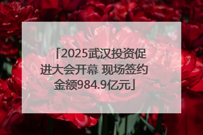 2025武汉投资促进大会开幕 现场签约金额984.9亿元