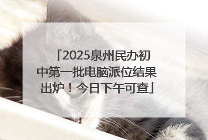2025泉州民办初中第一批电脑派位结果出炉！今日下午可查