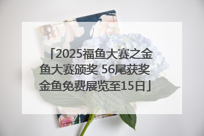 2025福鱼大赛之金鱼大赛颁奖 56尾获奖金鱼免费展览至15日