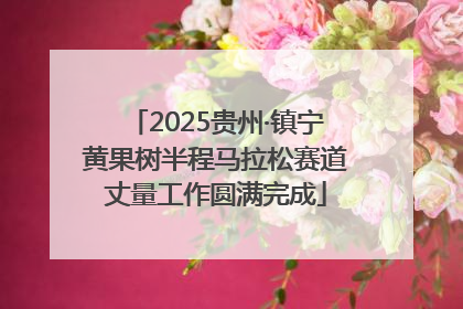 2025贵州·镇宁黄果树半程马拉松赛道丈量工作圆满完成