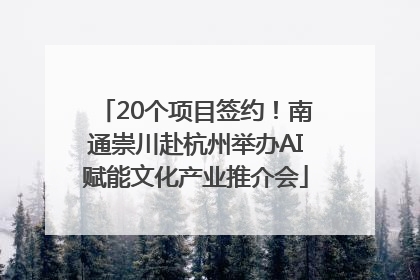 20个项目签约！南通崇川赴杭州举办AI赋能文化产业推介会