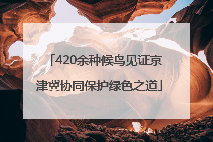 420余种候鸟见证京津冀协同保护绿色之道