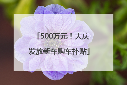 500万元！大庆发放新车购车补贴