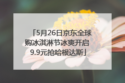 5月26日京东全球购冰淇淋节冰爽开启 9.9元抢哈根达斯