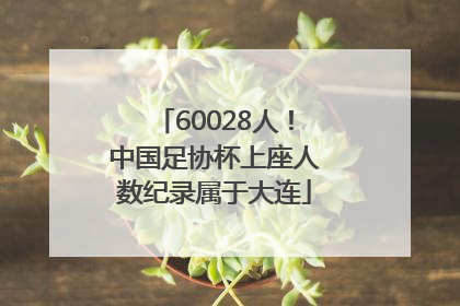 60028人！中国足协杯上座人数纪录属于大连