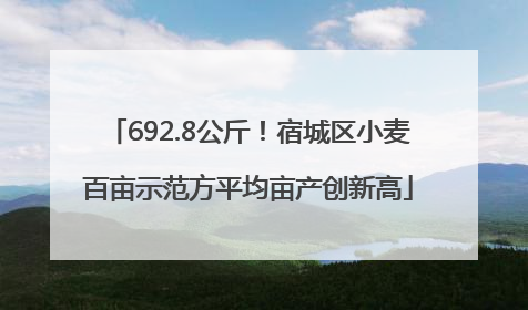 692.8公斤！宿城区小麦百亩示范方平均亩产创新高