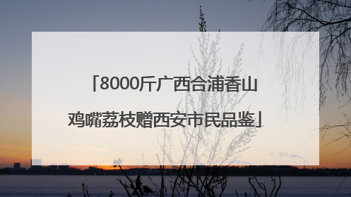 8000斤广西合浦香山鸡嘴荔枝赠西安市民品鉴