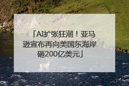 AI扩张狂潮！亚马逊宣布再向美国东海岸砸200亿美元
