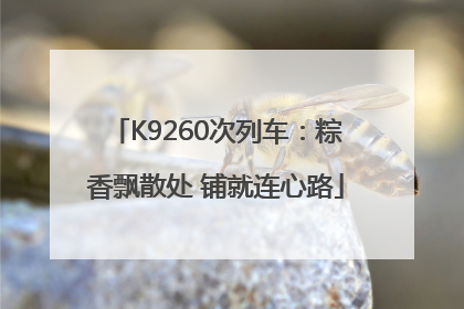 K9260次列车：粽香飘散处 铺就连心路
